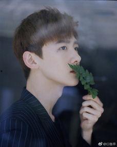 王鹤棣爆料姐弟恋视频,甜蜜互动引网友热议  第2张